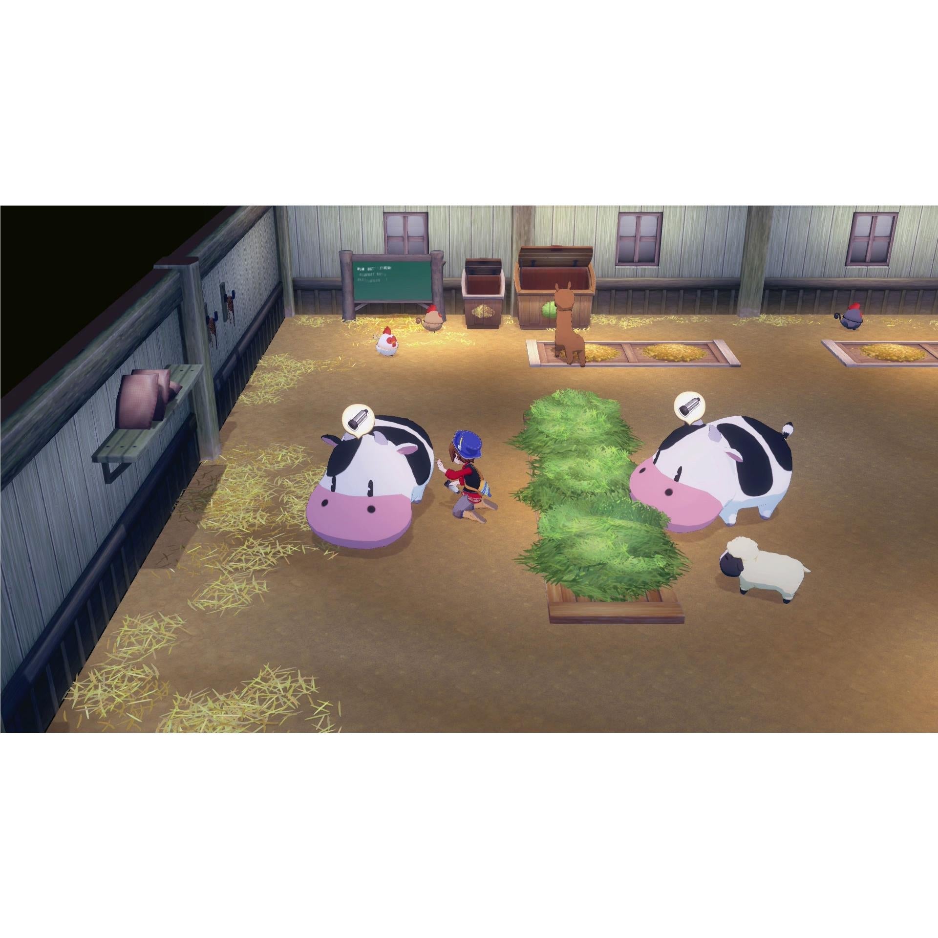 STORY OF SEASONS: Grand Bazaar Nintendo Switch 2 Edition